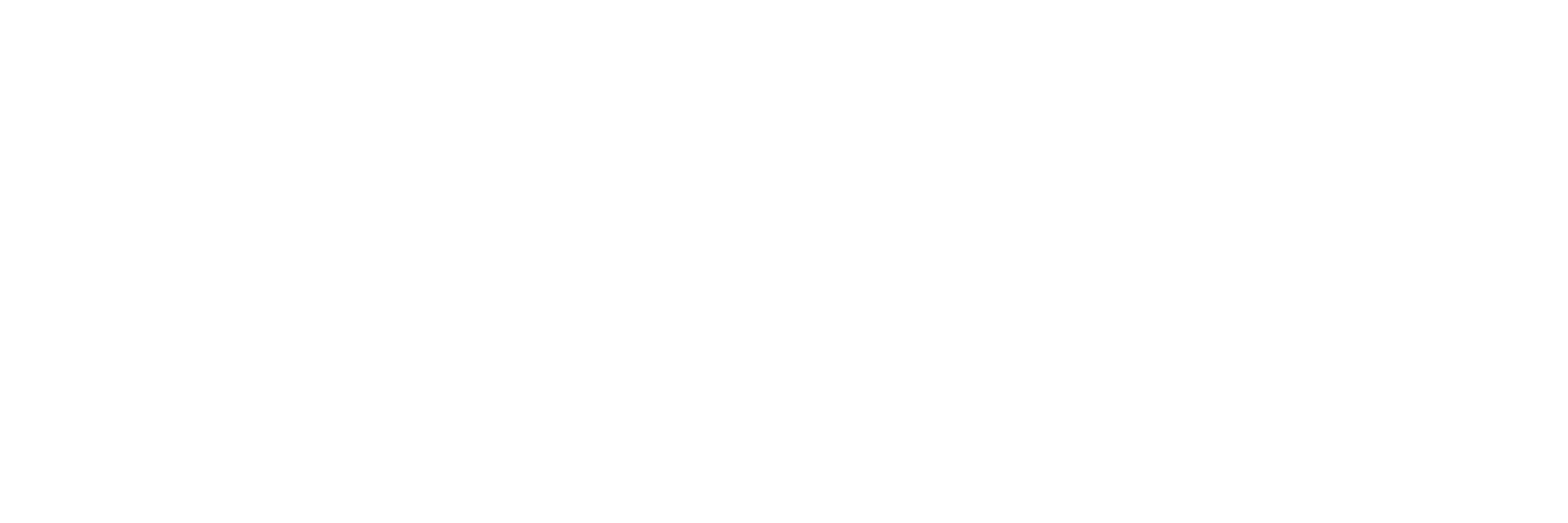 Delux parketi